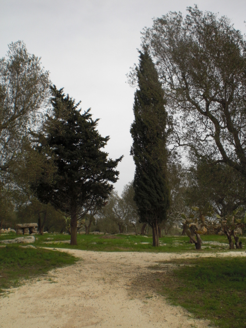 descrizione immagine