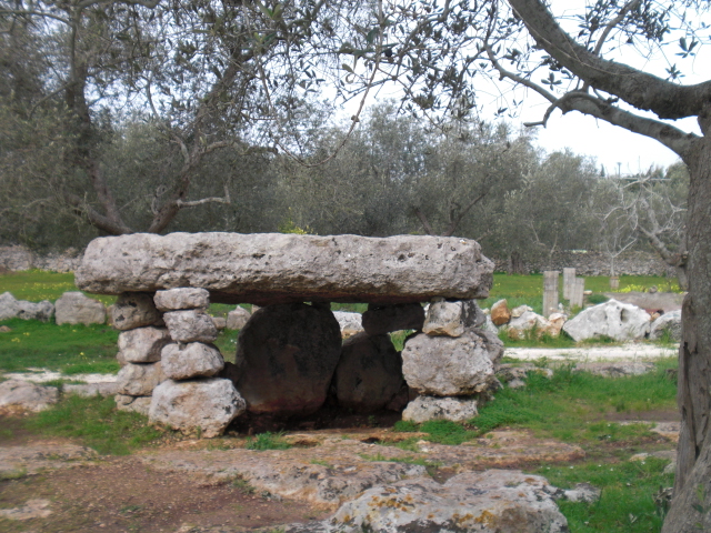 descrizione immagine