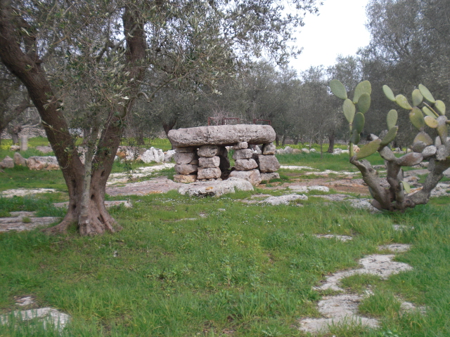 descrizione immagine